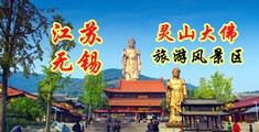 我要操网站在线免费进入江苏无锡灵山大佛旅游风景区